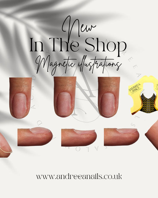 Magnetic illustrations 21 pieces+ digital illustrations image 1