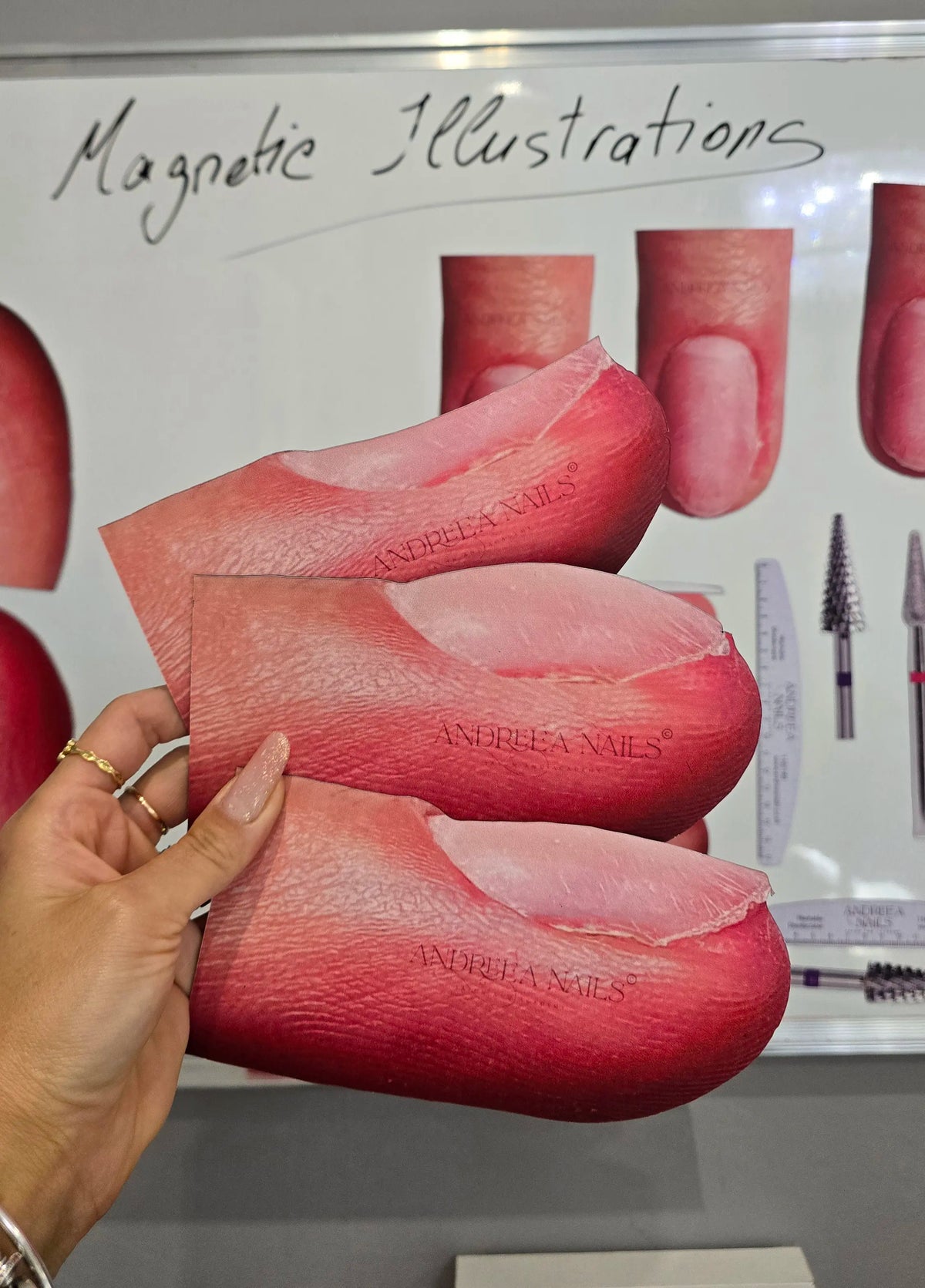 Magnetic illustrations 25 pieces+ digital illustrations