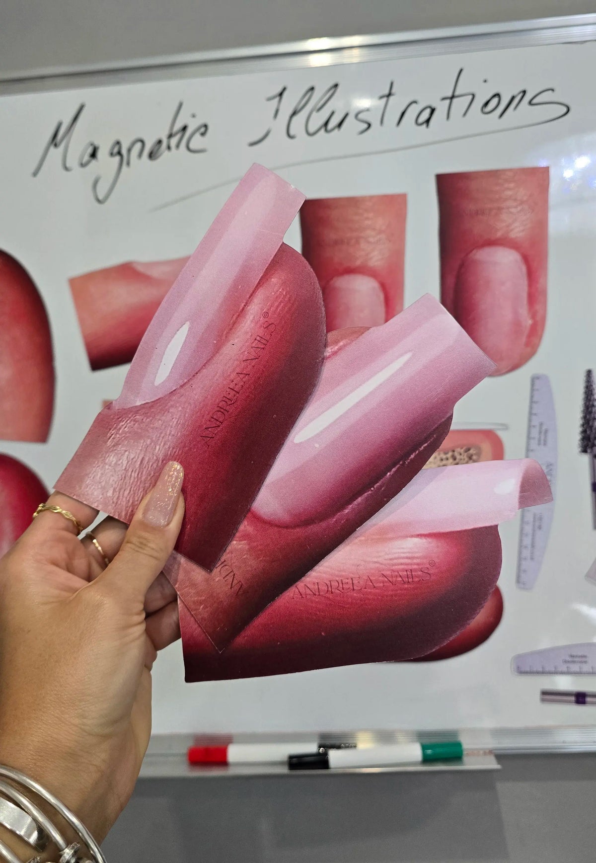 Magnetic illustrations 25 pieces+ digital illustrations