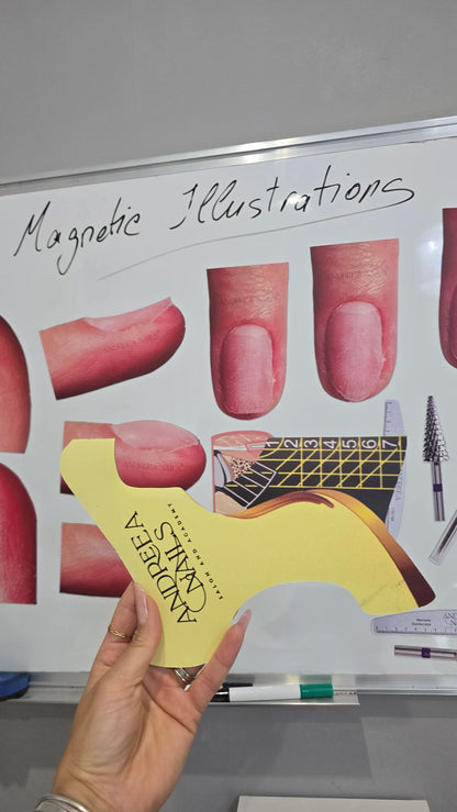 Magnetic illustrations 25 pieces+ digital illustrations