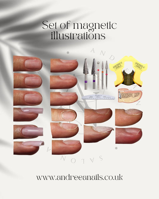 Magnetic illustrations 21 pieces+ digital illustrations  image 0