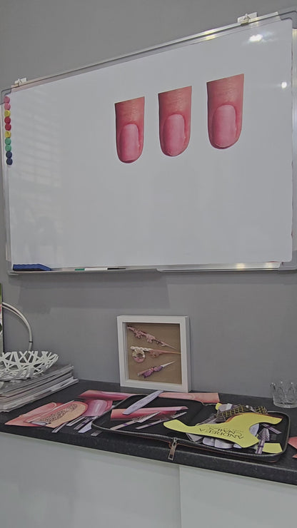 Magnetic illustrations 25 pieces+ digital illustrations